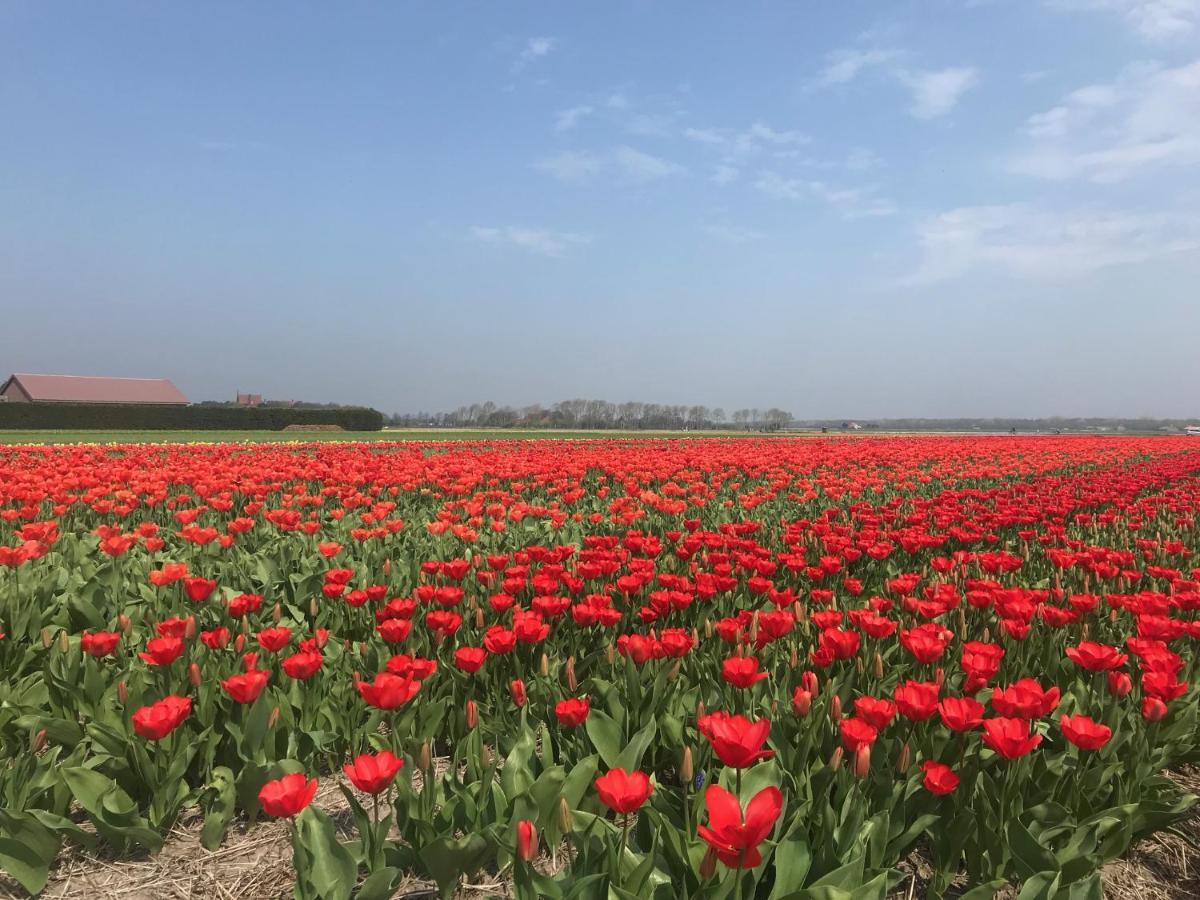 Vakantiehuis Achter De Duinen Castricum Zewnętrze zdjęcie