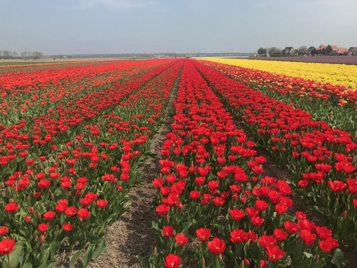 Vakantiehuis Achter De Duinen Castricum Zewnętrze zdjęcie